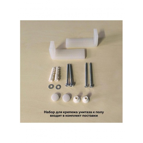 Унитаз напольный Teymi Lina безободковый, сиденье микролифт T40103 - фото 3