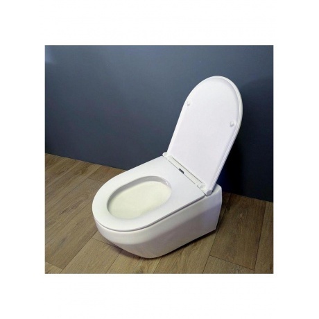 Унитаз подвесной Teymi Demi безободковый, сиденье микролифт T40208 - фото 14