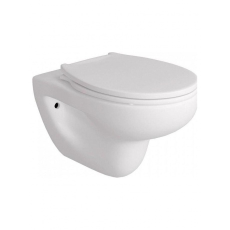 Унитаз подвесной Teymi Hanna Pro безободковый, сиденье микролифт...