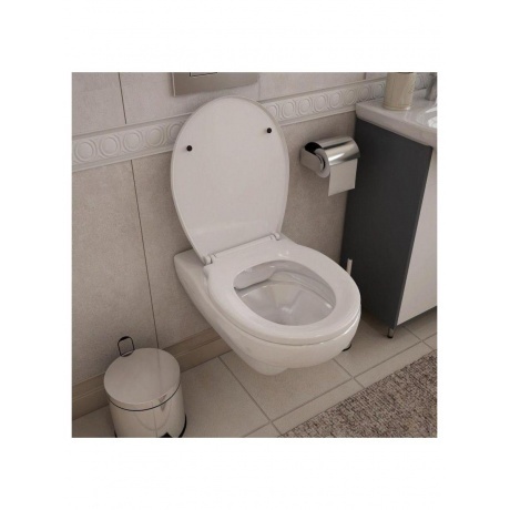 Унитаз подвесной Teymi Hanna Pro безободковый, сиденье микролифт T40901 - фото 12