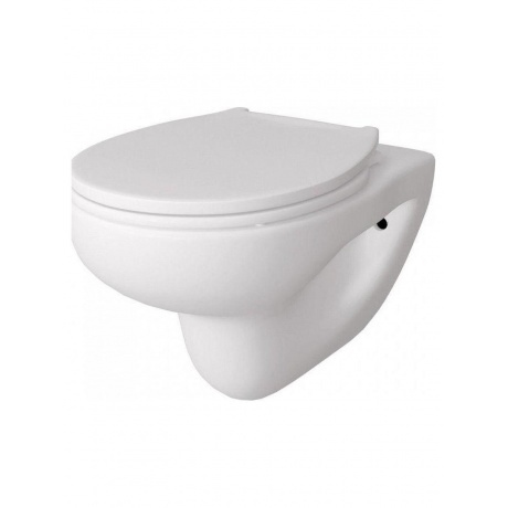 Унитаз подвесной Teymi Hanna Pro безободковый, сиденье микролифт T40901 - фото 3