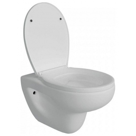 Унитаз подвесной Teymi Hanna Pro безободковый, сиденье микролифт T40901 - фото 4