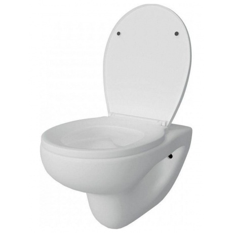 Унитаз подвесной Teymi Hanna Pro безободковый, сиденье микролифт T40901 - фото 5