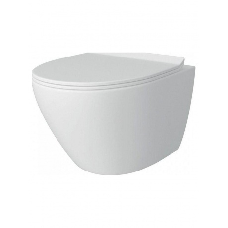 Унитаз подвесной Teymi Lina Pro безободковый, сиденье микролифт ...