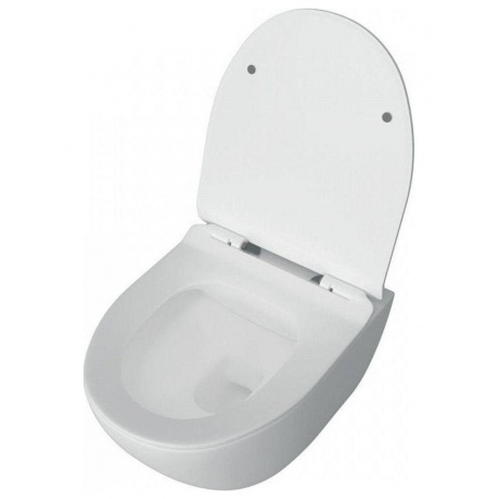 Унитаз подвесной Teymi Lina Pro безободковый, сиденье микролифт T40106 - фото 3