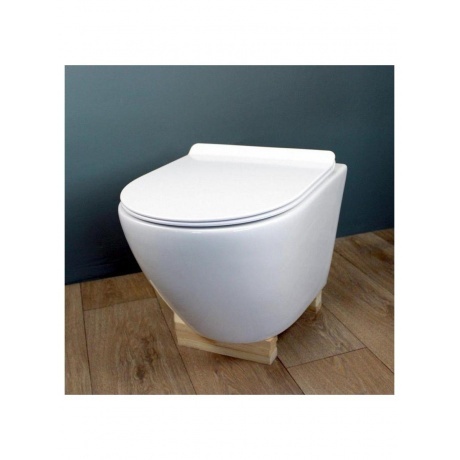 Унитаз подвесной Teymi Lina Pro безободковый, сиденье микролифт T40106 - фото 5