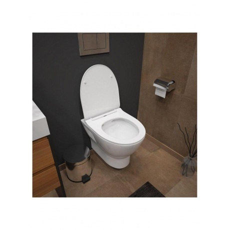 Унитаз подвесной Teymi Ritta безободковый, сиденье микролифт T40809 - фото 16