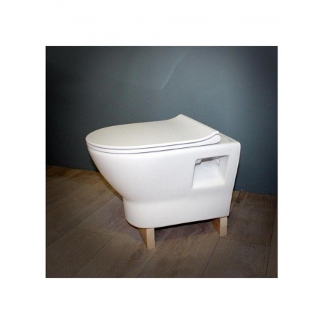 Унитаз подвесной Teymi Ritta безободковый, сиденье микролифт T40809 - фото 5