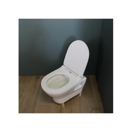 Унитаз подвесной Teymi Ritta безободковый, сиденье микролифт T40809 - фото 6