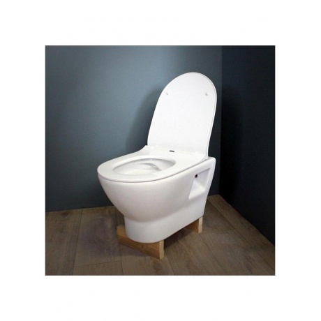 Унитаз подвесной Teymi Ritta безободковый, сиденье микролифт T40809 - фото 7