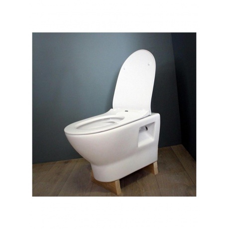 Унитаз подвесной Teymi Ritta безободковый, сиденье микролифт T40809 - фото 8