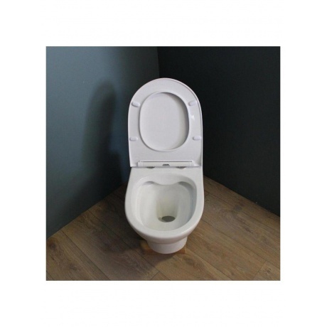 Унитаз подвесной Teymi Ritta безободковый, сиденье микролифт T40809 - фото 9