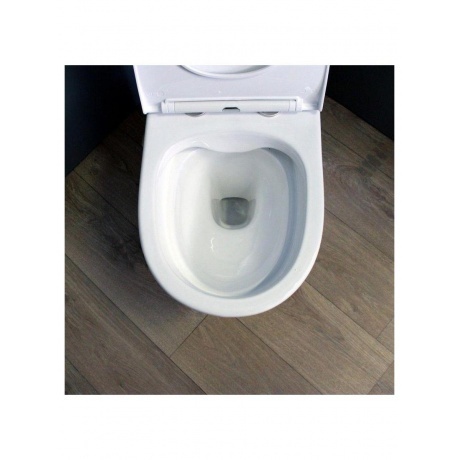 Унитаз подвесной Teymi Ritta безободковый, сиденье микролифт T40809 - фото 10