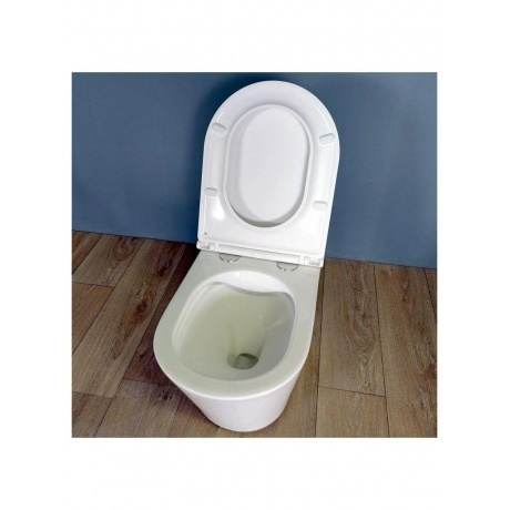 Унитаз подвесной Teymi Solli безободковый, сиденье микролифт T40201 - фото 8