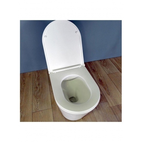 Унитаз подвесной Teymi Solli безободковый, сиденье микролифт T40201 - фото 9