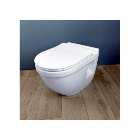 Унитаз подвесной Teymi Vitra Pro сиденье микролифт T40806 - фото 5