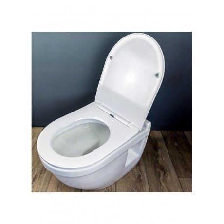 Унитаз подвесной Teymi Vitra Pro сиденье микролифт T40806 - фото 8