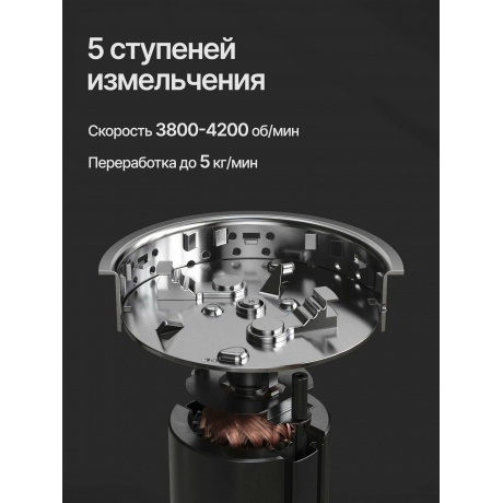 Измельчитель отходов WSS 750 V цвет: винный - фото 5