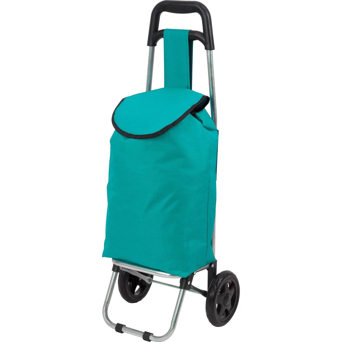 Тележка с сумкой WR3030 Бирюза, 15 кг тележка с сумкой d203 green 25кг