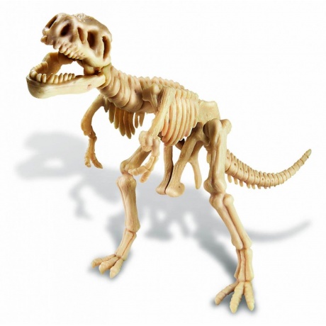Набор 4M 00-03221 Раскопай скелет. Тираннозавр - фото 2