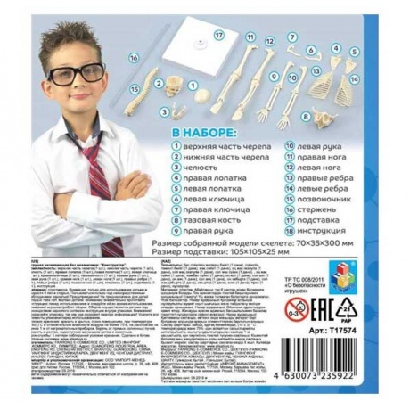 Набор 1Toy Экспериментариум "Строение скелета" - фото 3