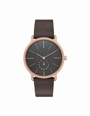 Наручные часы Skagen Leather SKW6213