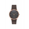 Наручные часы Skagen Leather SKW6213