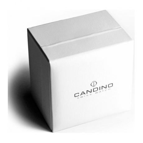 Наручные часы Candino C4540/2 - фото 2