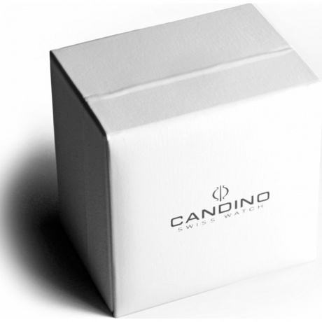Наручные часы Candino C4609/2 - фото 4