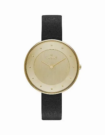 Наручные часы Skagen SKW2262