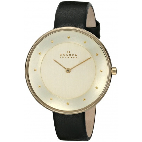 Наручные часы Skagen SKW2262 - фото 2