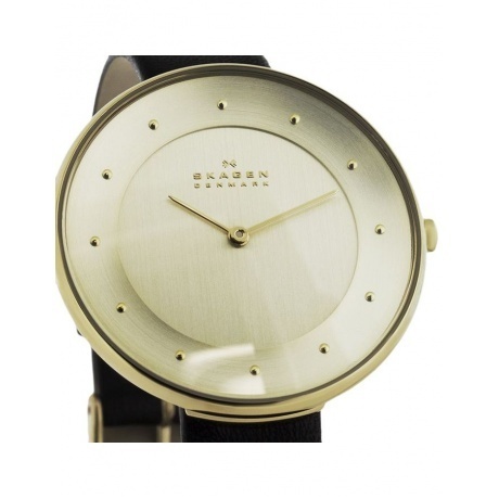 Наручные часы Skagen SKW2262 - фото 7