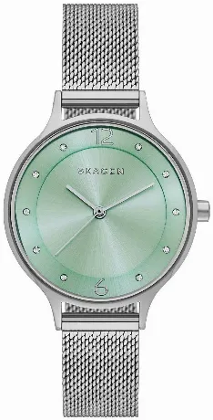 Наручные часы Skagen SKW2324