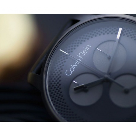Наручные часы Calvin Klein K2G177C3 - фото 4