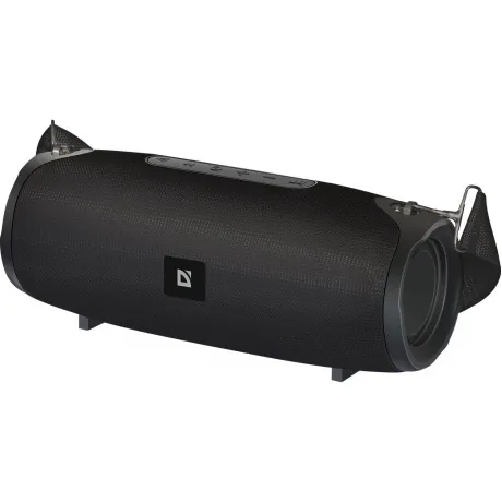 Портативная акустика Defender G22 (65122)