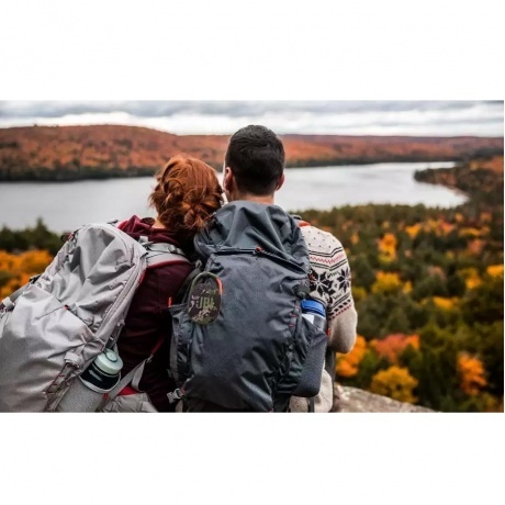 Портативная акустика JBL Clip 4 black - фото 11