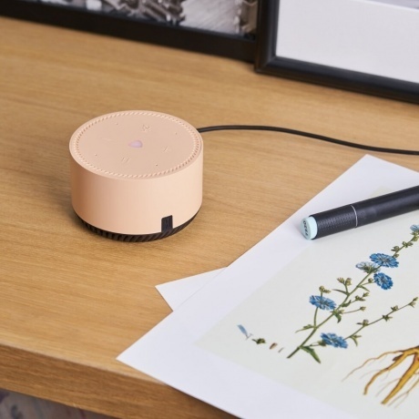 Умная колонка Яндекс Станция Лайт (YNDX-00025B) Капучино - фото 8