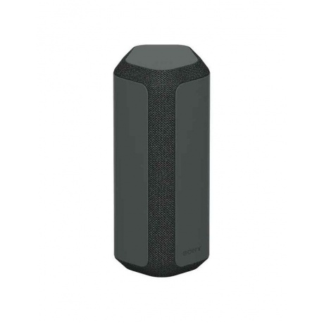 Портативная акустика Sony SRS-XE300 черный - фото 1