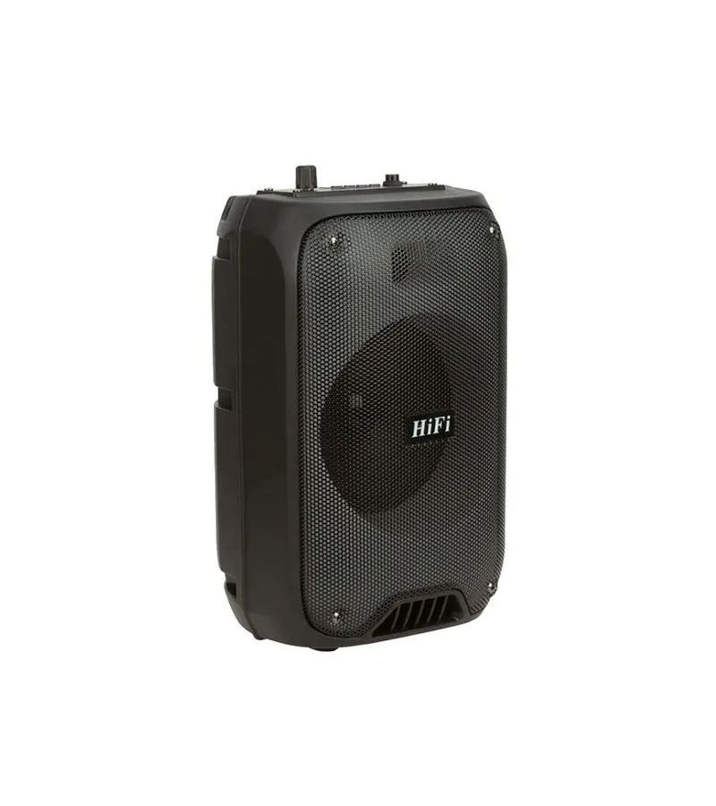Портативная акустика Eltronic RX-6168 цена и фото