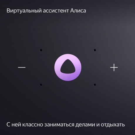 Портативная акустика Яндекс Станция Миди YNDX-00054 (черный) - фото 13