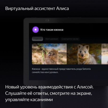 Умная колонка Яндекс Станция Дуо Макс (YNDX-00055) черный - фото 11