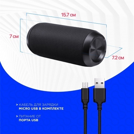 Портативная акустика Defender ENJOY S100 BLACK (65101) - фото 7