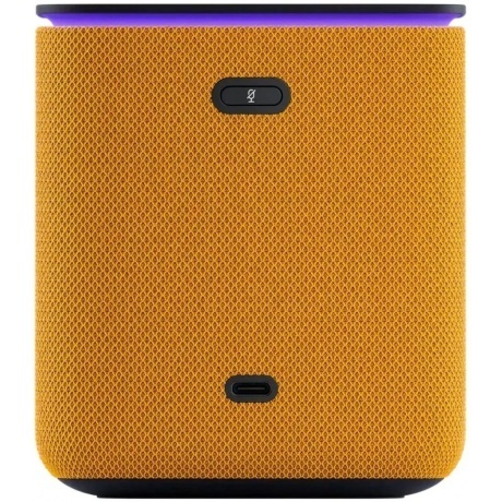 Умная колонка Яндекс Станция Миди YNDX-00054 (оранжевый) - фото 2