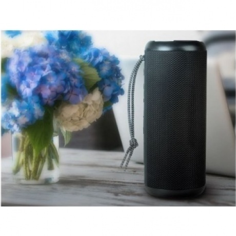 Портативная акустика SVEN PS-315 2.0 чёрные (SV-021702) - фото 22