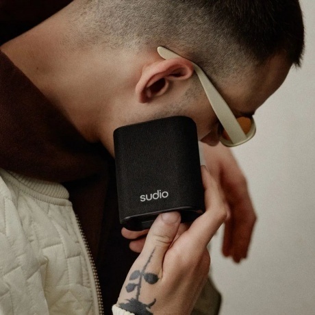 Портативная акустика Sudio S2 черный - фото 6