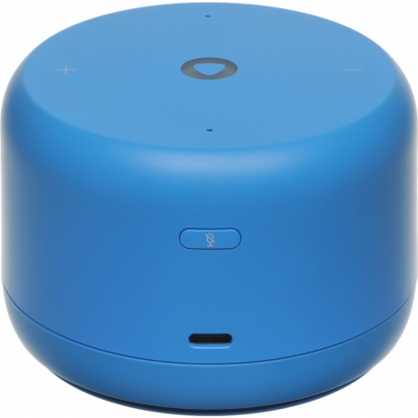 Умная колонка Яндекс.Станция Лайт 2 Blue YNDX-00026BLU - фото 23