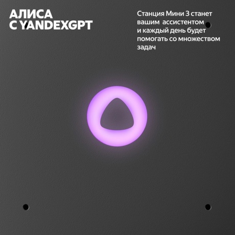 Умная колонка Яндекс Станция Мини 3 с Алисой  (YNDX-00027BLK) Черная - фото 4