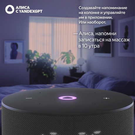 Умная колонка Яндекс Станция Мини 3 с Алисой  (YNDX-00027BLK) Черная - фото 6