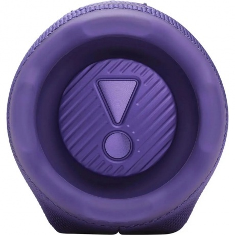 Портативная колонка JBL Charge 6 (JBLCHARGE6PUR) Purple - фото 8