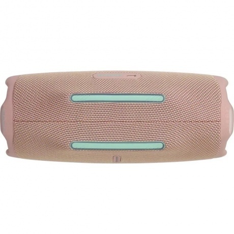 Портативная колонка JBL Charge 6 (JBLCHARGE6BLU) Pink - фото 7